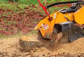 Best Tree and Shrub Care  in Meridianville, AL